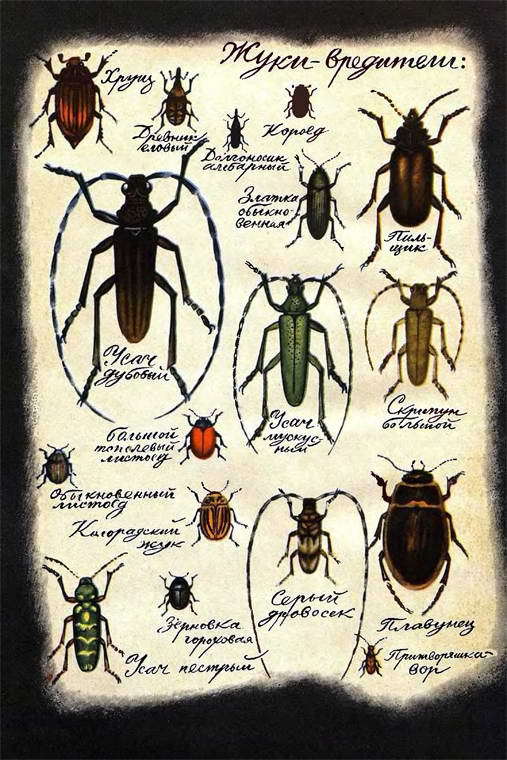 Если посмотреть вокруг - i_035.jpg