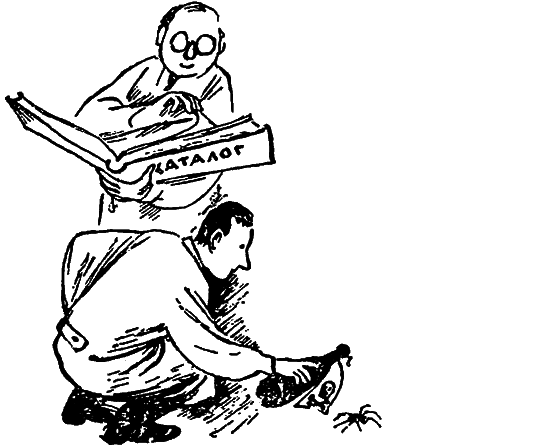 Если посмотреть вокруг - i_066.png