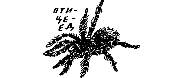 Если посмотреть вокруг - i_068.png