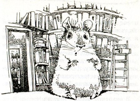 Фредди. Жизнь, полная риска - i_001.jpg