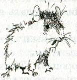 Фредди. Жизнь, полная риска - i_004.jpg