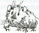 Фредди. Жизнь, полная риска - i_016.jpg