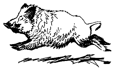 Необычные случаи на охоте и рыбной ловле - pic_6.png