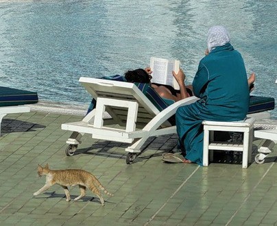 Кис-кис-кис-kiss me... (СИ) - _10.jpg