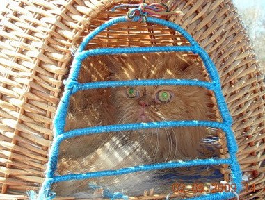 Кис-кис-кис-kiss me... (СИ) - _20.jpg