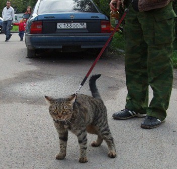 Кис-кис-кис-kiss me... (СИ) - _36.jpg