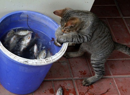 Кис-кис-кис-kiss me... (СИ) - _44.jpg