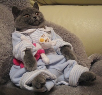 Кис-кис-кис-kiss me... (СИ) - _6.jpg