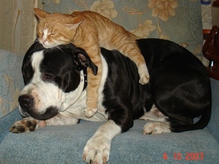 Кис-кис-кис-kiss me... (СИ) - _11.jpg