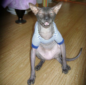 Кис-кис-кис-kiss me... (СИ) - _14.jpg