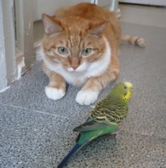 Кис-кис-кис-kiss me... (СИ) - _15.jpg