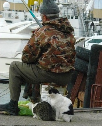 Кис-кис-кис-kiss me... (СИ) - _16.jpg