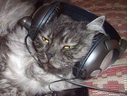 Кис-кис-кис-kiss me... (СИ) - _17.jpg