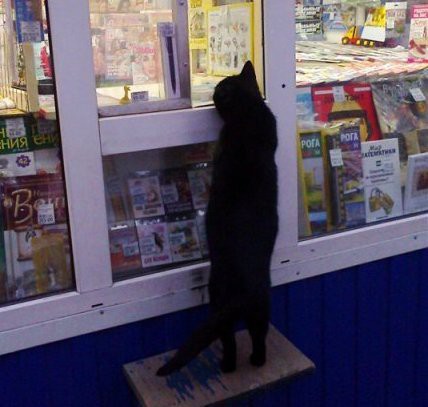 Кис-кис-кис-kiss me... (СИ) - _37.jpg