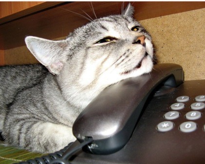 Кис-кис-кис-kiss me... (СИ) - _39.jpg