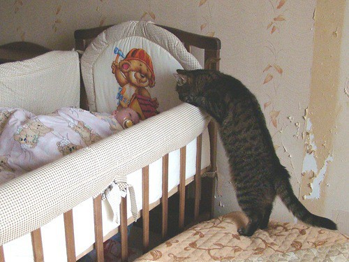 Кис-кис-кис-kiss me... (СИ) - _41.jpg