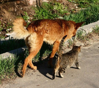 Кис-кис-кис-kiss me... (СИ) - _46.jpg