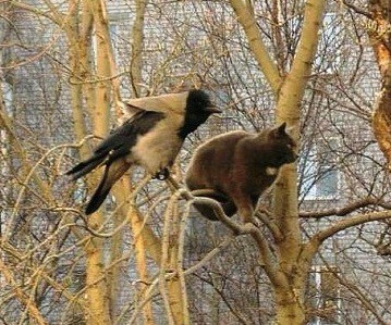 Кис-кис-кис-kiss me... (СИ) - _47.jpg