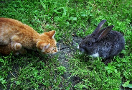 Кис-кис-кис-kiss me... (СИ) - _7.jpg