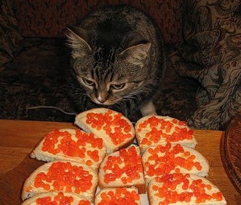 Кис-кис-кис-kiss me... (СИ) - _8.jpg