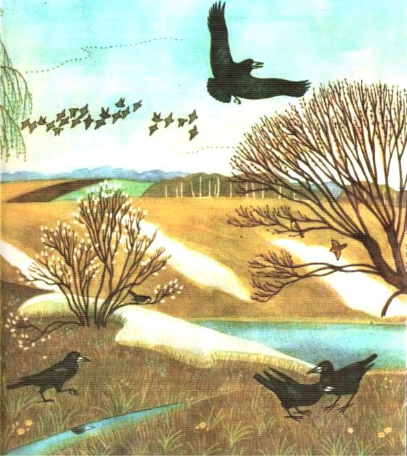 Ключ-трава - i_006.jpg