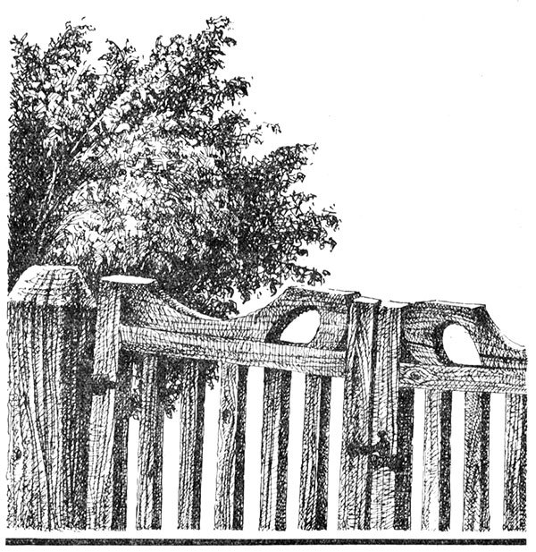 Наш лисенок - i_012.jpg