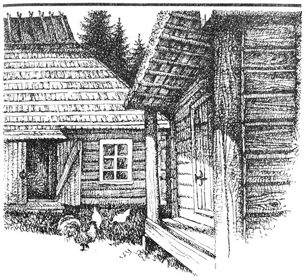 Наш лисенок - i_014.jpg