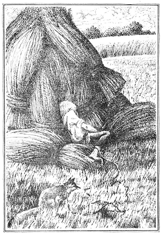 Наш лисенок - i_016.jpg