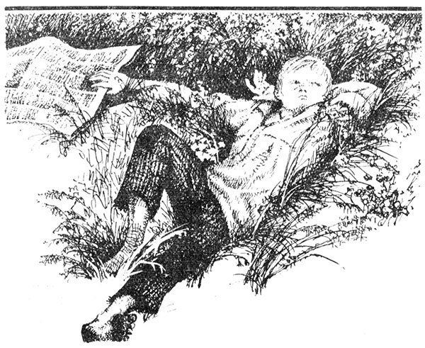 Война Виллу - i_001.jpg