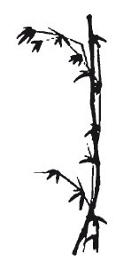 Японский массаж, который помог Мэрилин Монро и Мухаммеду Али - i_001.jpg