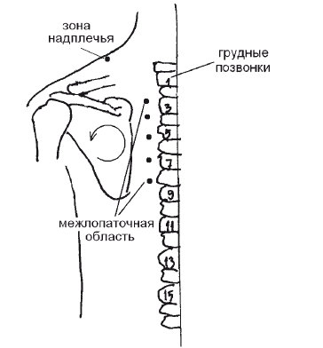 Японский массаж, который помог Мэрилин Монро и Мухаммеду Али - i_014.png