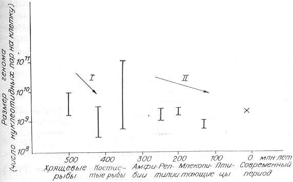 Энергия и жизнь - i_019.jpg