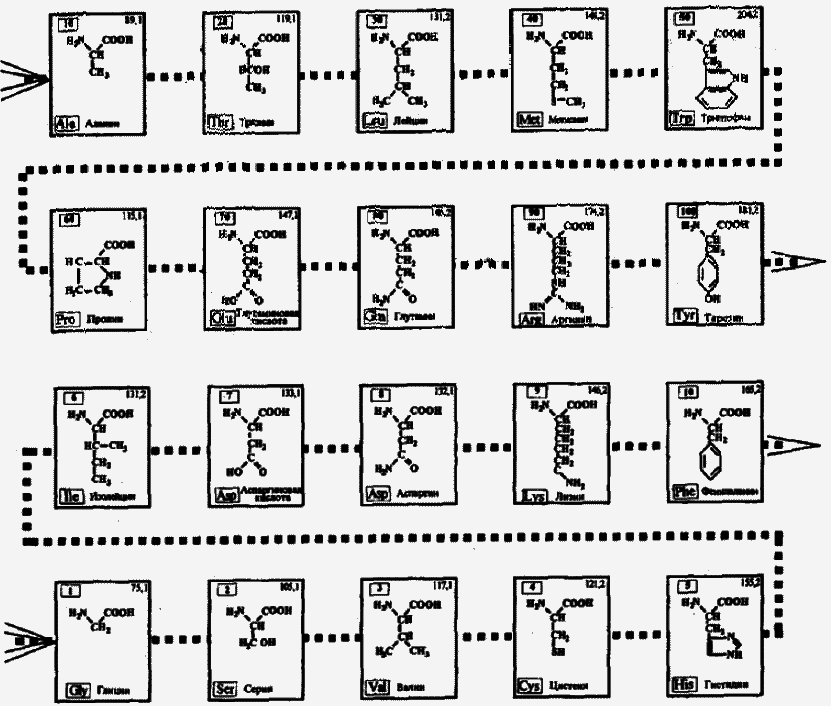 Золотая печать творца - _013.png