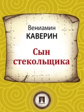 Сын стекольщика - автор Каверин Вениамин Александрович 