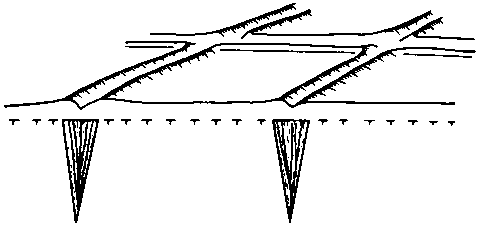 Азбука рисунков природы - i_001.png