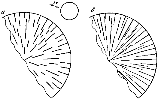 Азбука рисунков природы - i_065.png