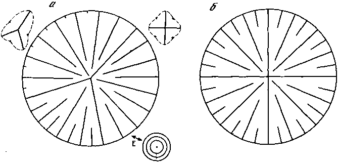 Азбука рисунков природы - i_066.png