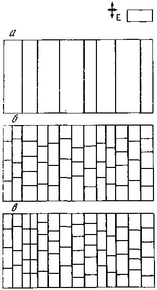 Азбука рисунков природы - i_074.png