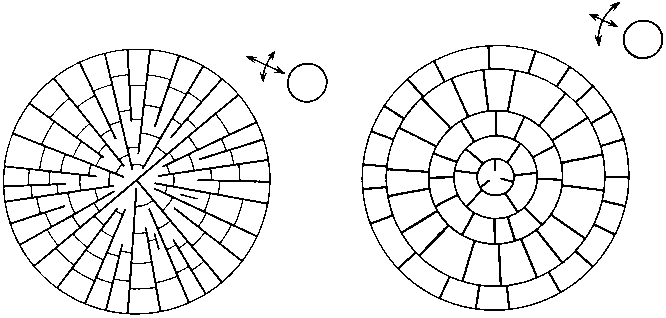 Азбука рисунков природы - i_081.png