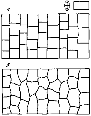 Азбука рисунков природы - i_086.png