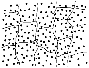 Азбука рисунков природы - i_094.png