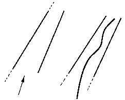 Азбука рисунков природы - i_097.png