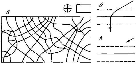 Азбука рисунков природы - i_112.png
