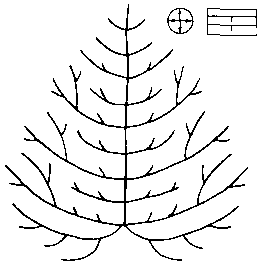 Азбука рисунков природы - i_115.png