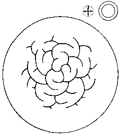 Азбука рисунков природы - i_116.png