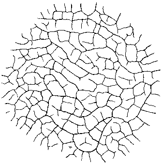 Азбука рисунков природы - i_128.png