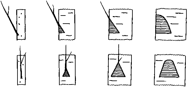 Азбука рисунков природы - i_140.png