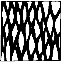 Азбука рисунков природы - i_141.png