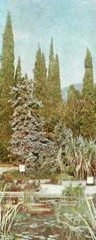 Аптека в лесу - _77.jpg