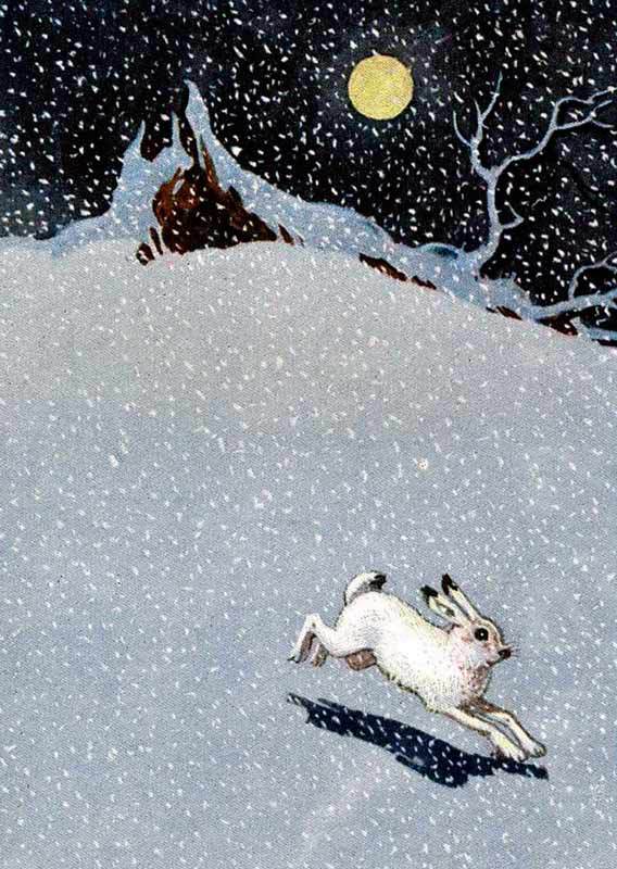 Сорочьи сказки - i_005.jpg